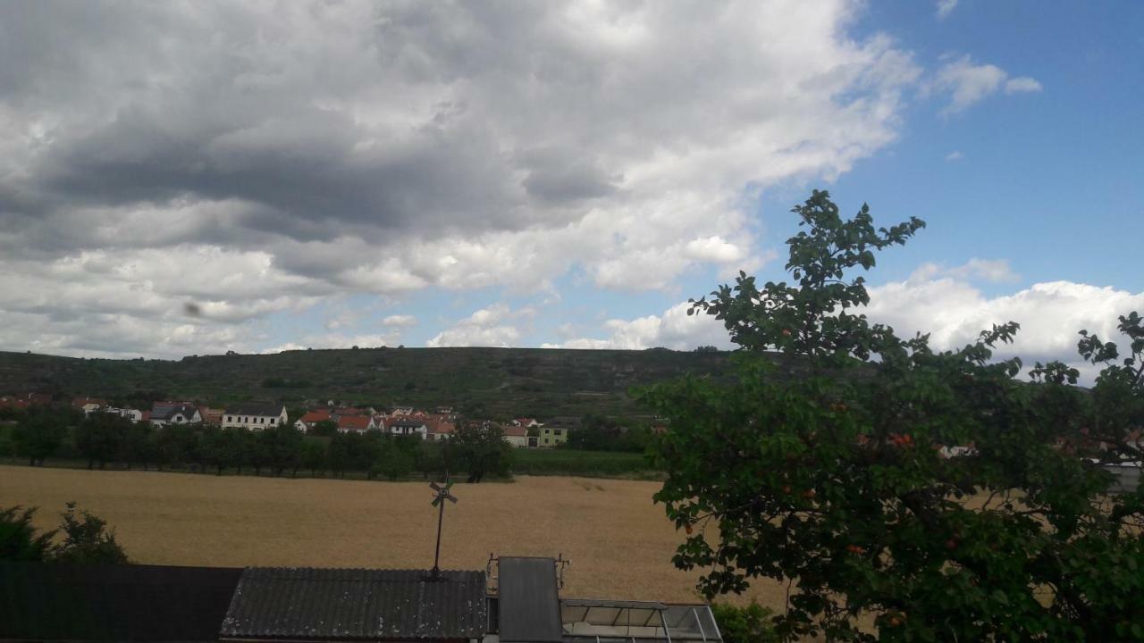 Pansion Brda Apartment Rohrendorf bei Krems Exterior photo
